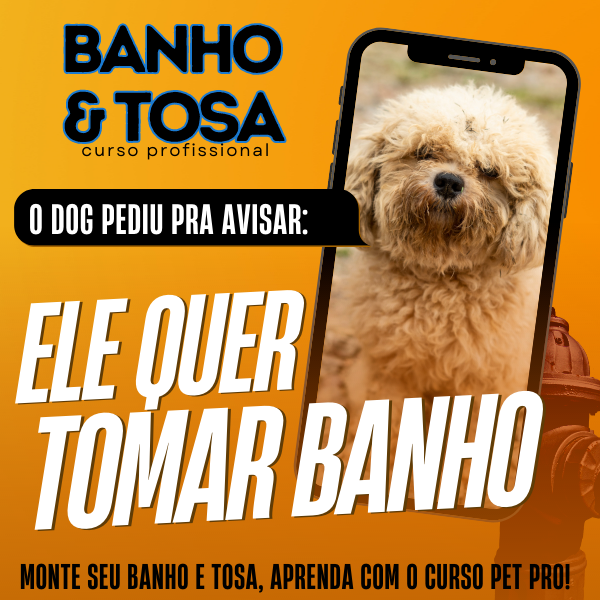 banner do curso de banho e tosa