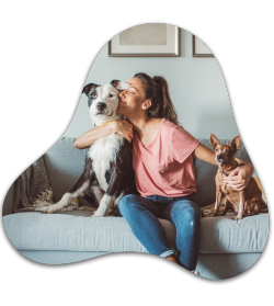 pet sitter dando carinho a um cachorro sentado no sofá