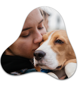 pet sitter cuidando de um cachorro