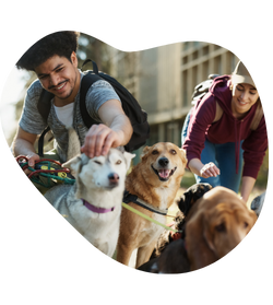 homem e mulher pet sitter levando os cães para o hotel