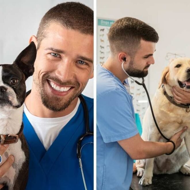 Para abrir um banho e tosa precisa de veterinário?